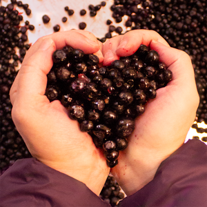 Wild and organic huckleberries, sugar and pectin make the best huckleberry products. 